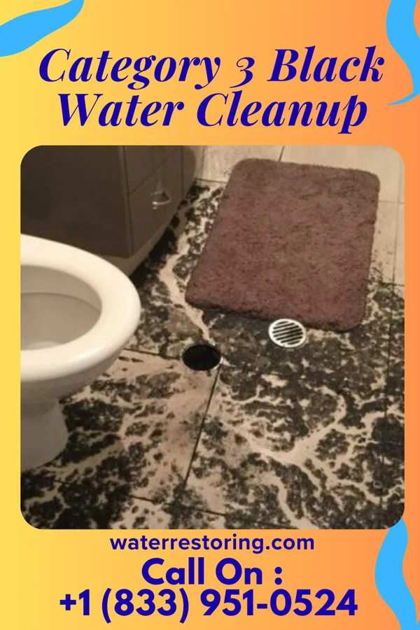 Category 3 Black Water Cleanup in Langley Park, MD