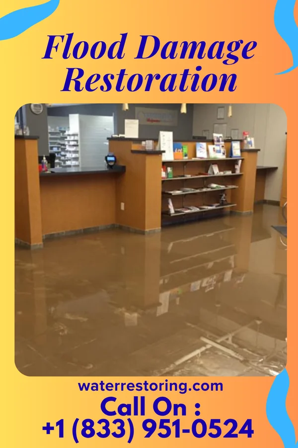 Flood Damage Restoration in Langley Park, MD