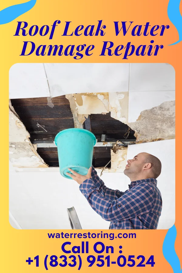 Roof Leak Water Damage Repair in Langley Park, MD