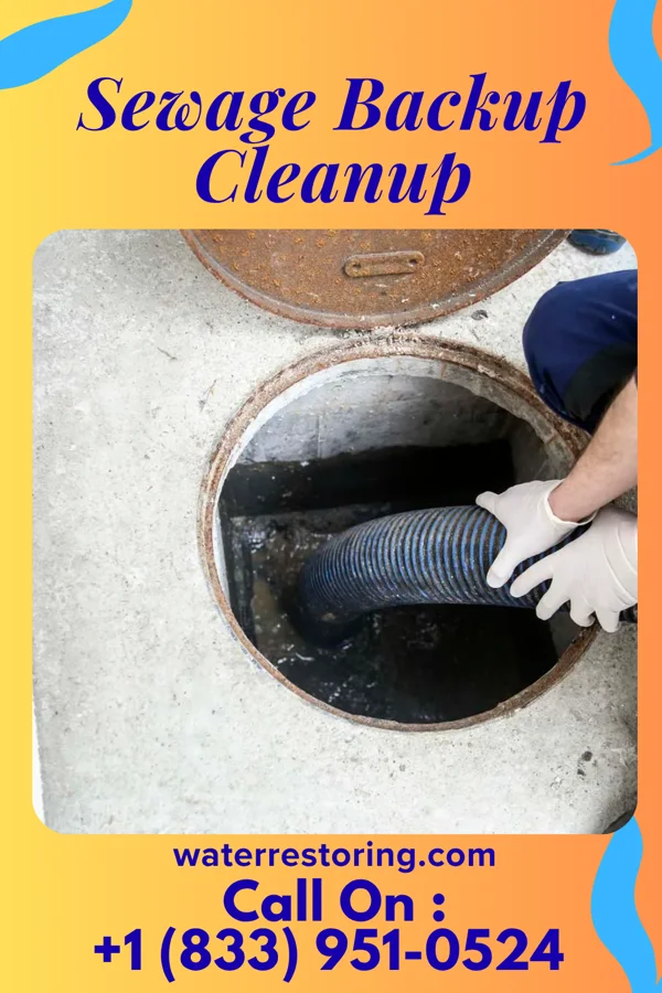 Sewage Backup Cleanup in Langley Park, MD