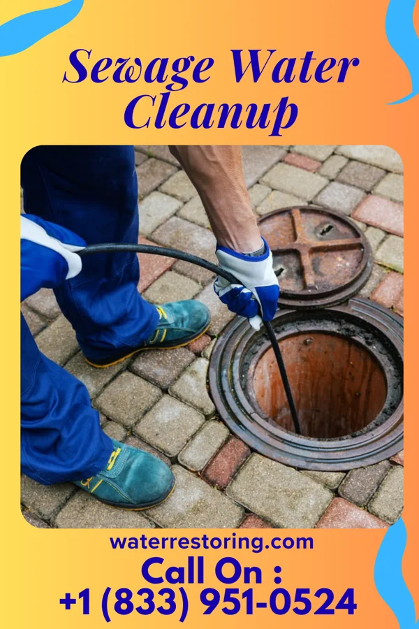 Sewage Water Cleanup in Langley Park, MD